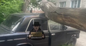 Дерево упало на машину