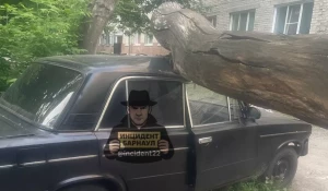 Дерево упало на машину