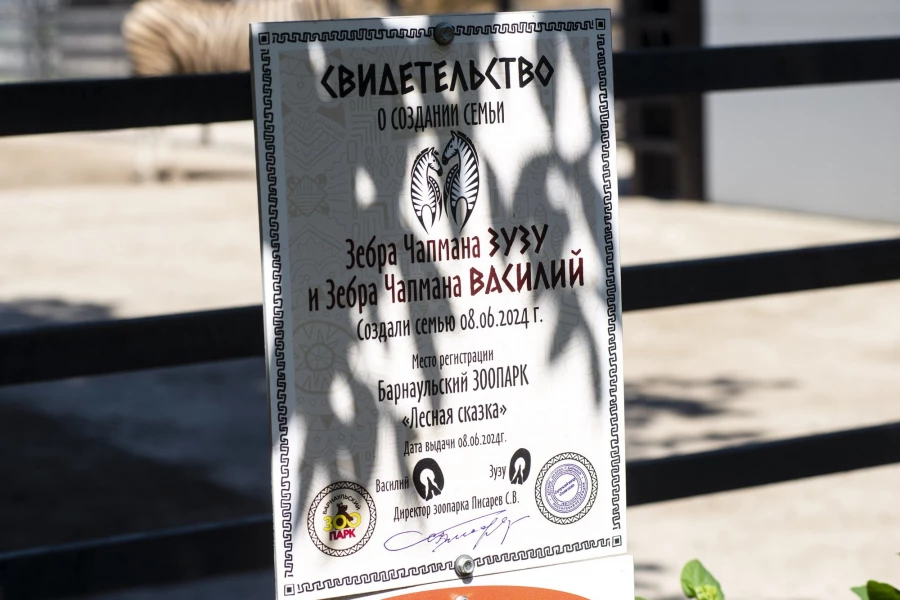 Животных в Барнаульском зоопарке спасают от жары.
