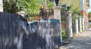 Дерево повалило в Барнауле.