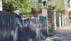 Дерево повалило в Барнауле.