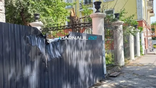 Дерево повалило в Барнауле.