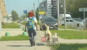 Женщина с козой и козлятами в Барнауле.