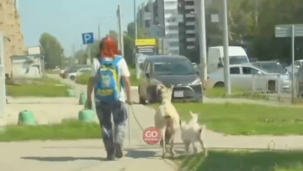 Женщина с козой и козлятами в Барнауле.