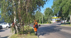 Летняя уборка Барнаула.