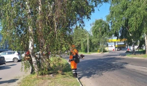 Летняя уборка Барнаула.