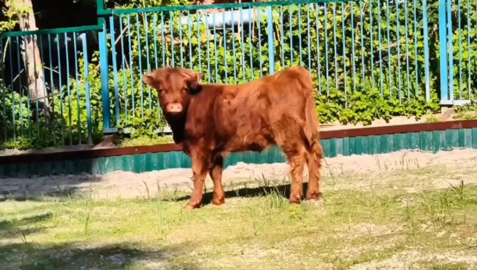 Бусинка.