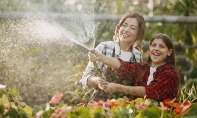 Секреты летнего полива: особенности увлажнения разных культур
