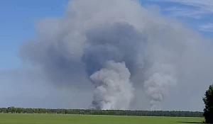 Лесной пожар.