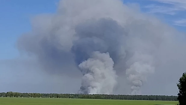 Лесной пожар.