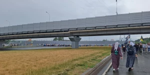 Крестный ход в Коробейниково.