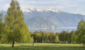 Алтайский заповедник село Яйлю.