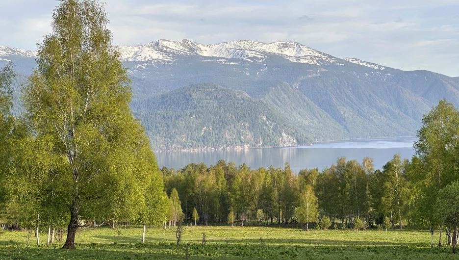 Алтайский заповедник село Яйлю.