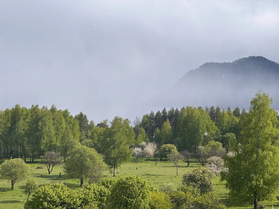 Алтайский заповедник село Яйлю.