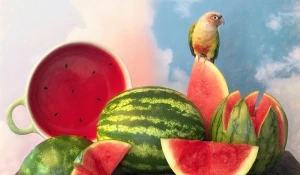 Лучшие фотографии, снятые на iPhone