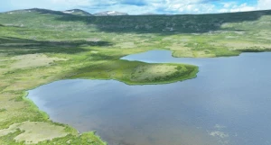 Лето в самой высокогорной части Алтайского заповедника.