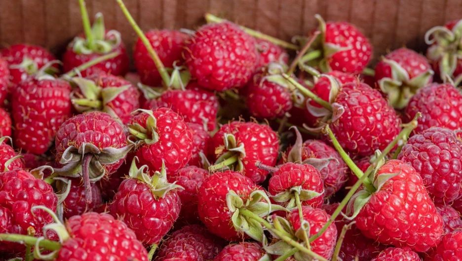 Малина.