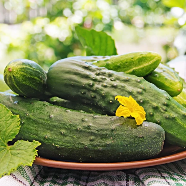 Огурцы.