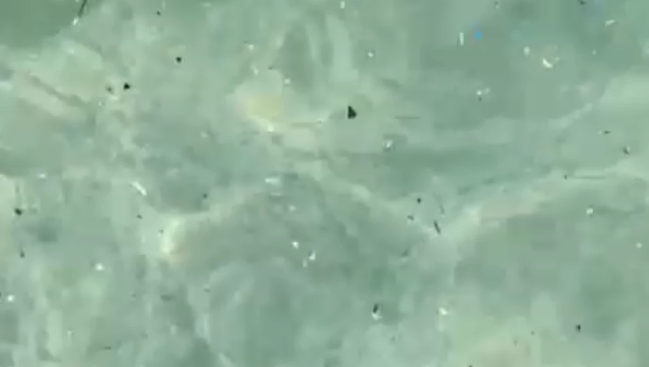 Мусор на морском дне