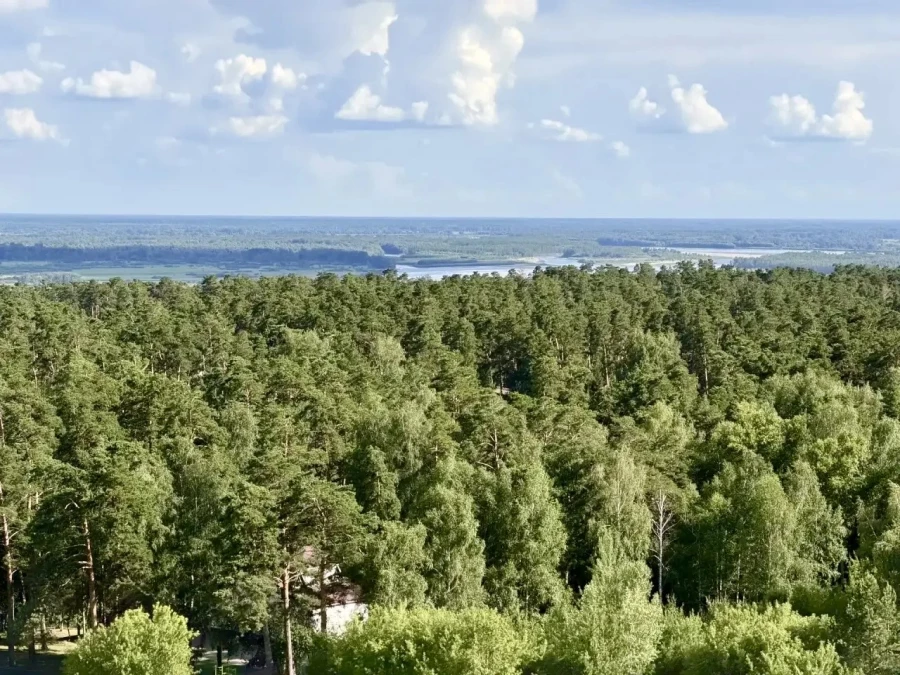 Вид с верхних этажей ЖК «Мечта».