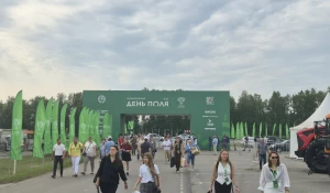 Всероссийский день поля