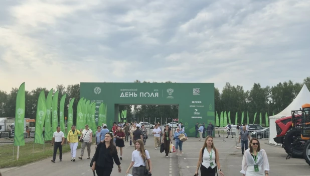 Всероссийский день поля