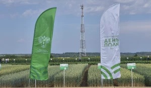 «Всероссийский День поля 2026» в Алтайском крае.

