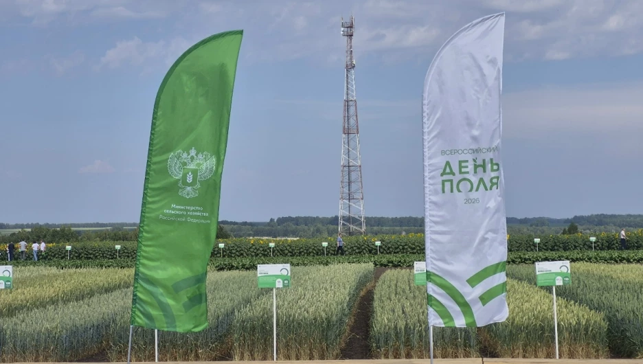«Всероссийский День поля 2026» в Алтайском крае.
