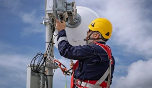Оператор Билайн запустил базовые станции стандарта 4G в 16 селах Алтайского края.