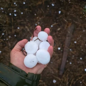 Последствия непогоды