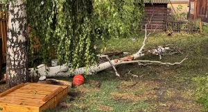 Ураган в алтайском селе Краснощеково.