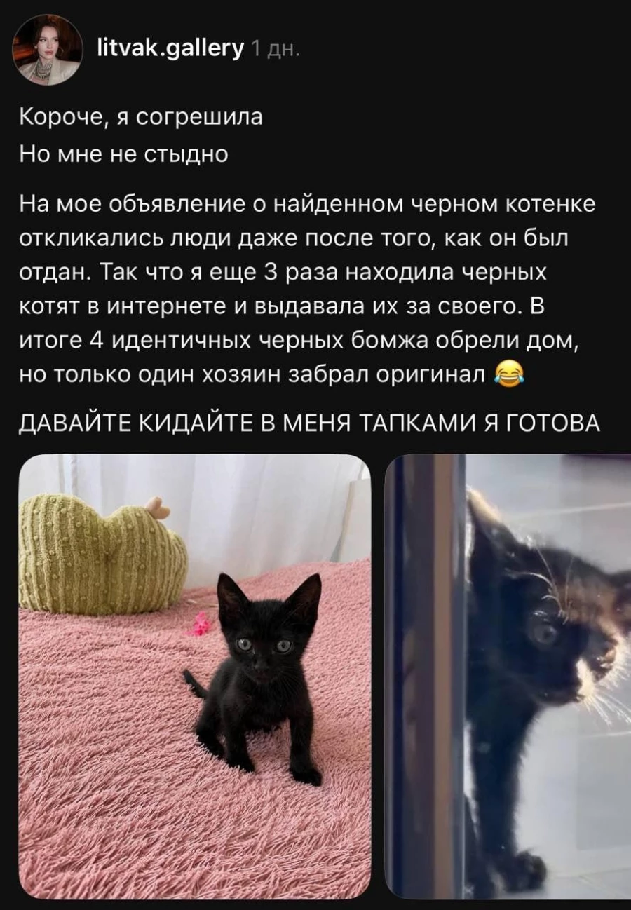 Котята