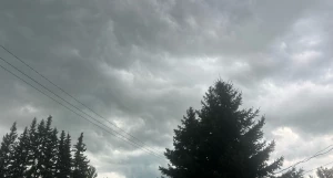 Непогода в Барнауле