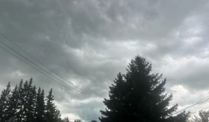 Непогода в Барнауле
