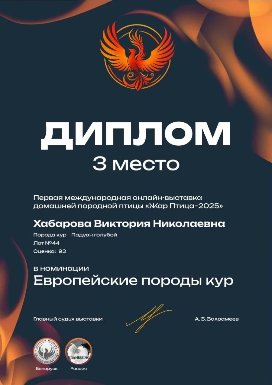 Награды Виктории Хабаровой.