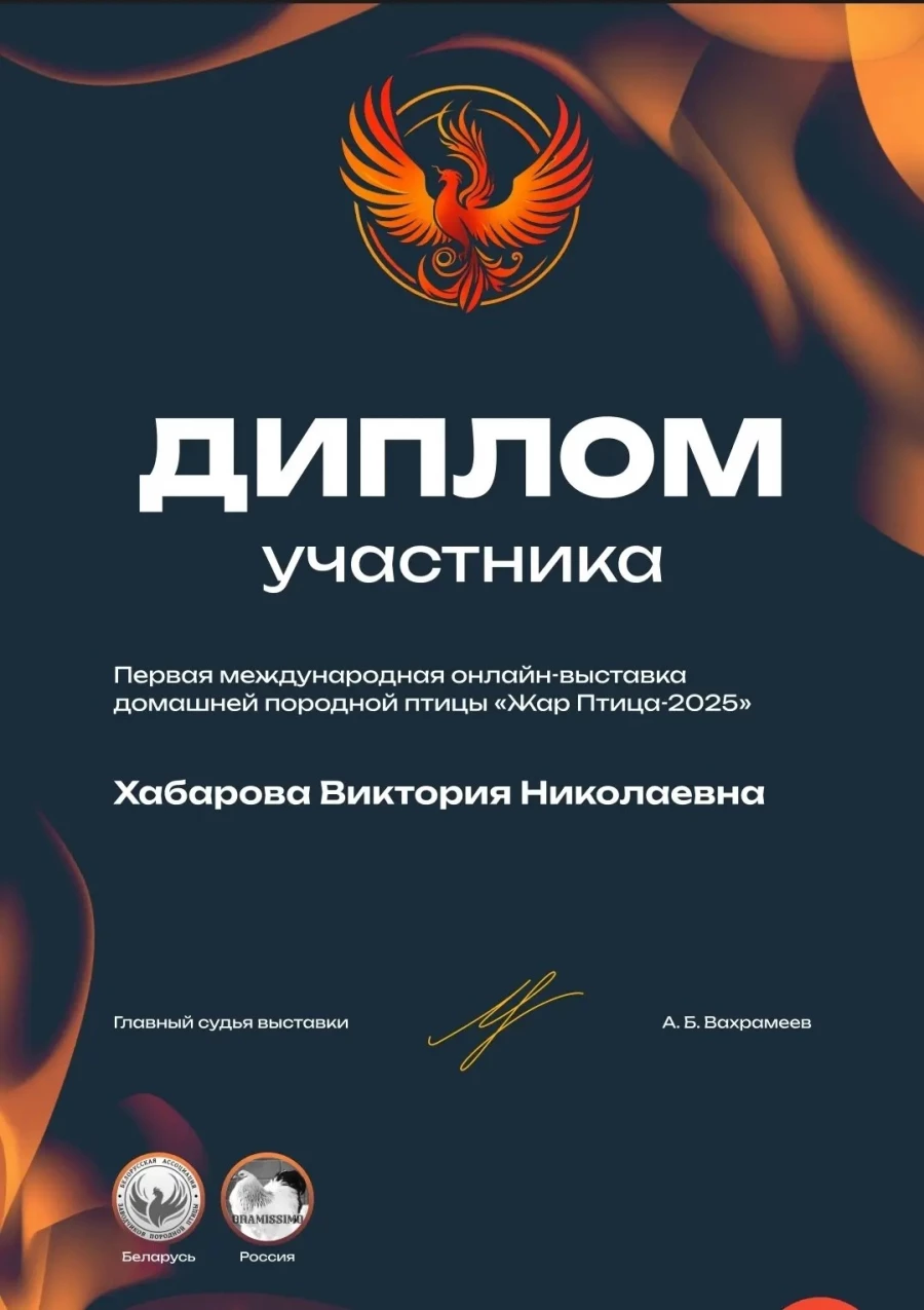 Награды Виктории Хабаровой.