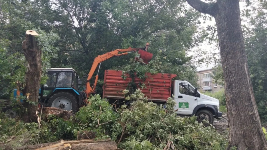 Уборка поваленных деревьев.