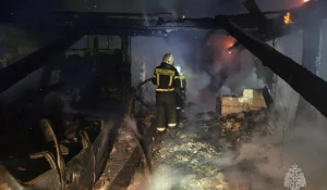 В Алтайском крае сгорел склад с зерном