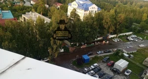 В Барнауле застройщик уничтожил многолетние деревья ради бизнес-центра