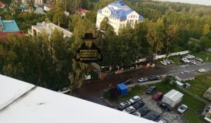 В Барнауле застройщик уничтожил многолетние деревья ради бизнес-центра