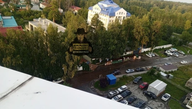 В Барнауле застройщик уничтожил многолетние деревья ради бизнес-центра