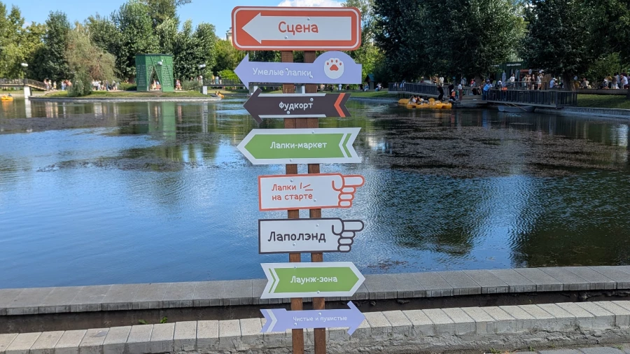 Фестиваль «Лапки Тапки» в Барнауле.