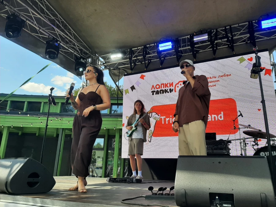 Фестиваль «Лапки Тапки» в Барнауле.