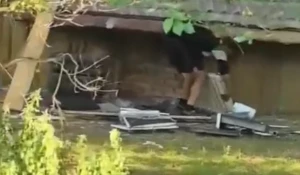 Бийчане разбирают многоэтажку.