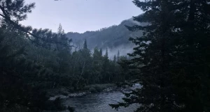 Река Кумир. Горный Алтай. Природа Алтая.