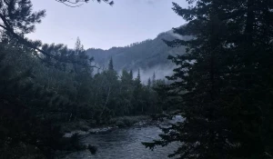 Река Кумир. Горный Алтай. Природа Алтая.