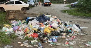 Барнаульцы жалуются на горы мусора за пляжем «Лапа»