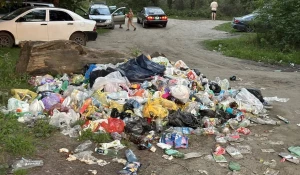 Барнаульцы жалуются на горы мусора за пляжем «Лапа»