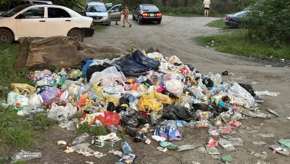 Барнаульцы жалуются на горы мусора за пляжем «Лапа»