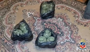 В Алтайском крае задержали мужчину, который запас почти 2,5 кг наркотиков